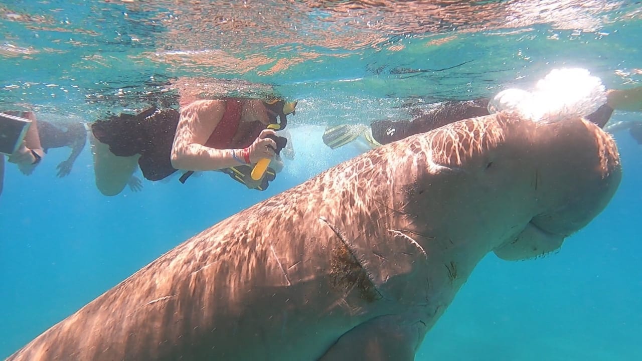 Sport & Freizeit Malikia Resort Abu Dabbab