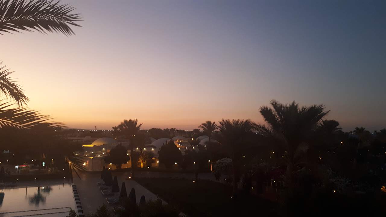 Ausblick Desert Rose