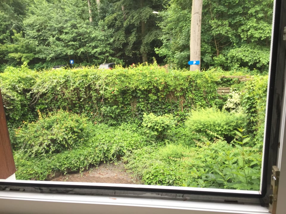 Zimmeraussicht Flair Kurparkhotel im Ilsetal