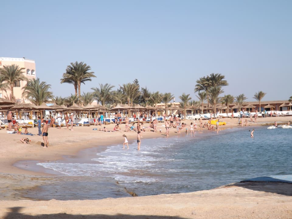 Пологий пляж Beach Albatros Resort