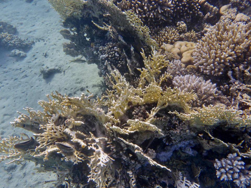 Sport & Freizeit Hotel Kempinski Soma Bay