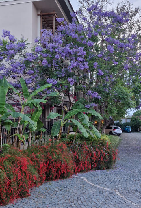 Gartenanlage Can Garden Resort