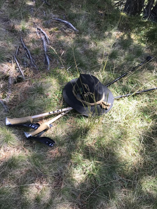 Ausblick Hotel Alpenhof