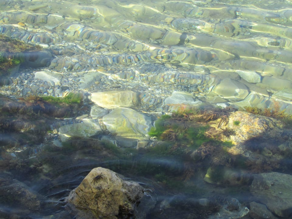 Hotel Ephesia Holiday Beach Club Ephesia Holiday Beach Club