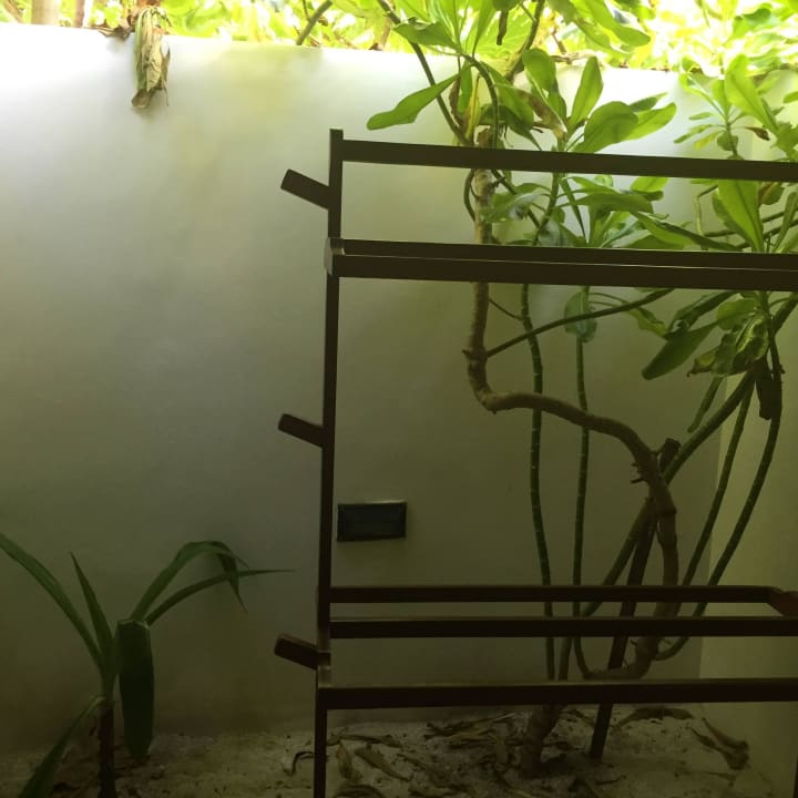 Łazienka Summer Island Maldives