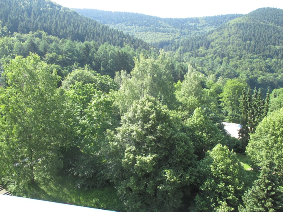 Blick vom Balkon Panoramic - Ihr Apartmenthotel im Harz