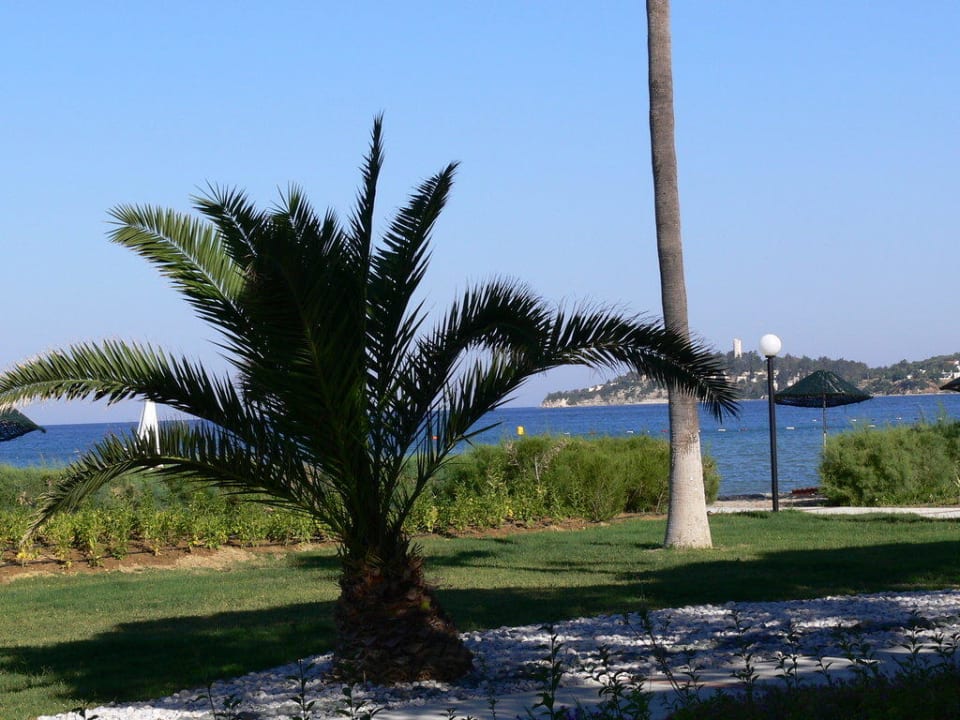 Ausblick vom Zimmer Ephesia Holiday Beach Club