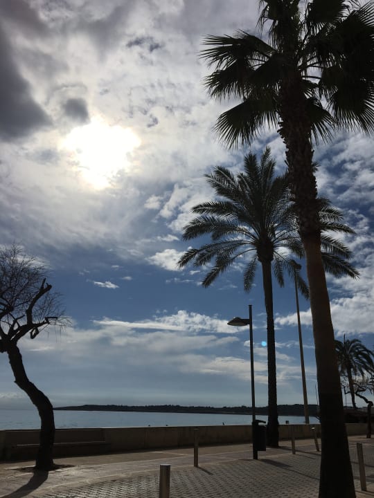 Ausblick CM Playa del Moro