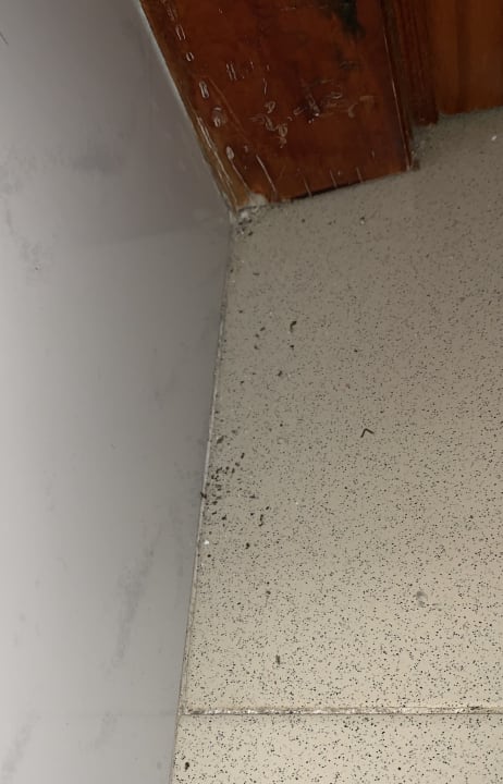 Zimmer Flipflop Cala Romantica