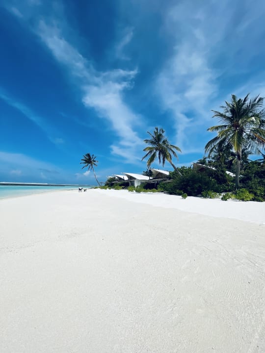 Strand Cinnamon Hakuraa Huraa Maldives