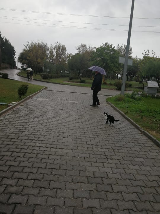 Außenansicht Aydinbey Kings Palace & Spa