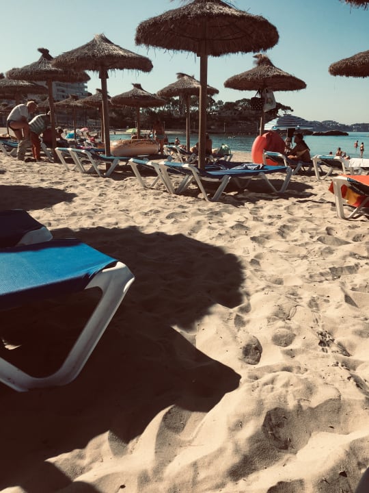 Strand Paguera Treff Boutique Hotel