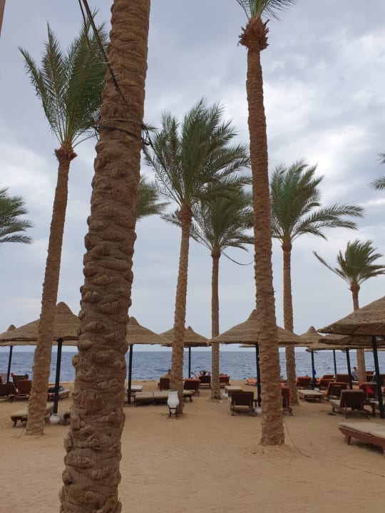 Strand The Grand Hotel Sharm El Sheikh