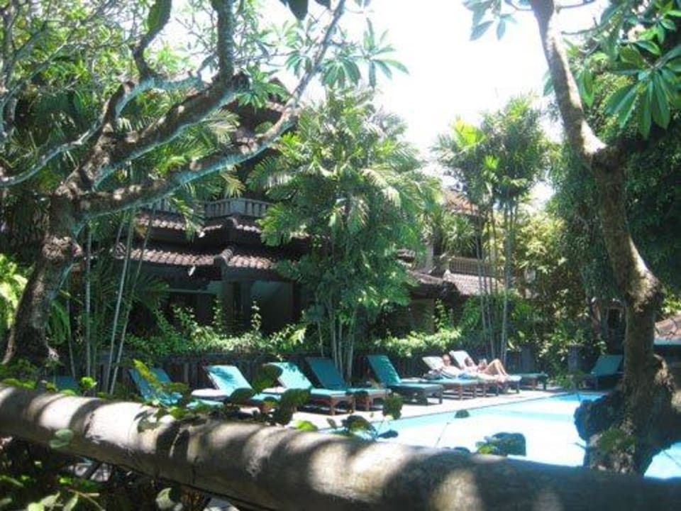 Sonnenliegen Hotel Puri Bambu