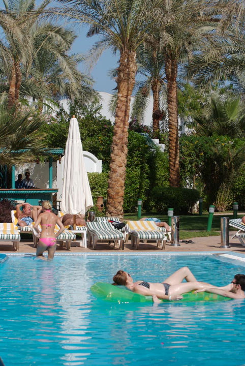 Pool Hotel Falcon Hills