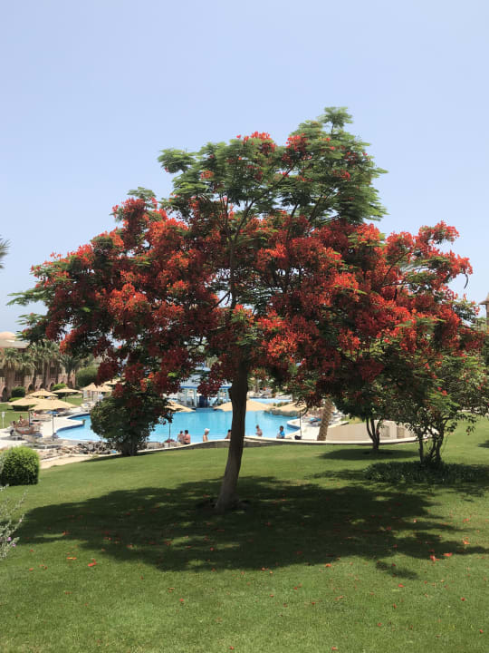 Außenansicht Serenity Alpha Beach