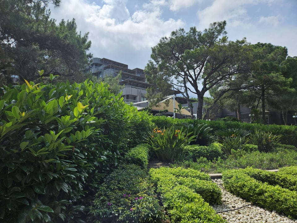 Gartenanlage Balmy Foresta