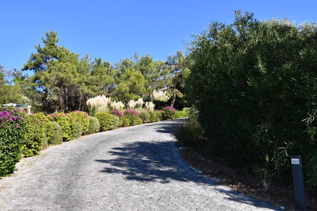 Gartenanlage D Maris Bay