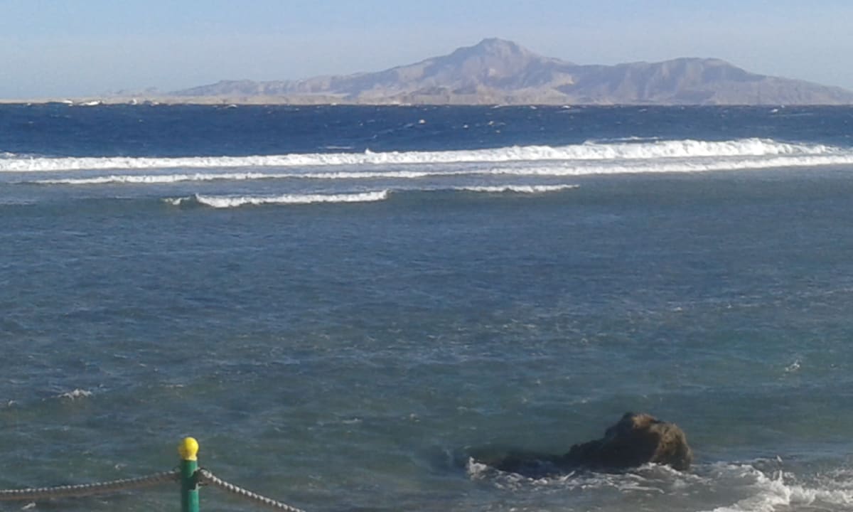 Blick auf die Korallen Riffe Parrotel Beach Resort