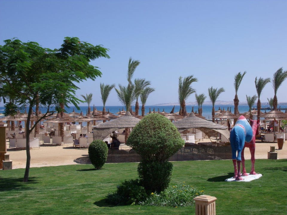 Strandliegen sind top-Meer ist gefählich Pickalbatros Palace Resort