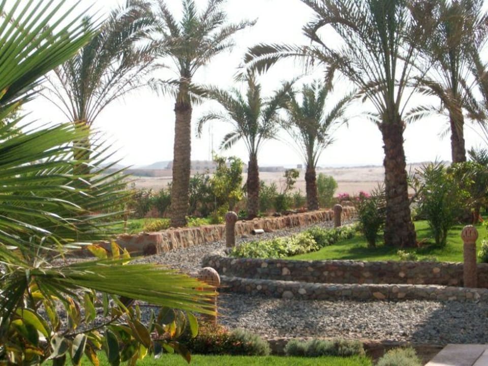 Blick von unserer Tereasse aus Three Corners Sea Beach Resort