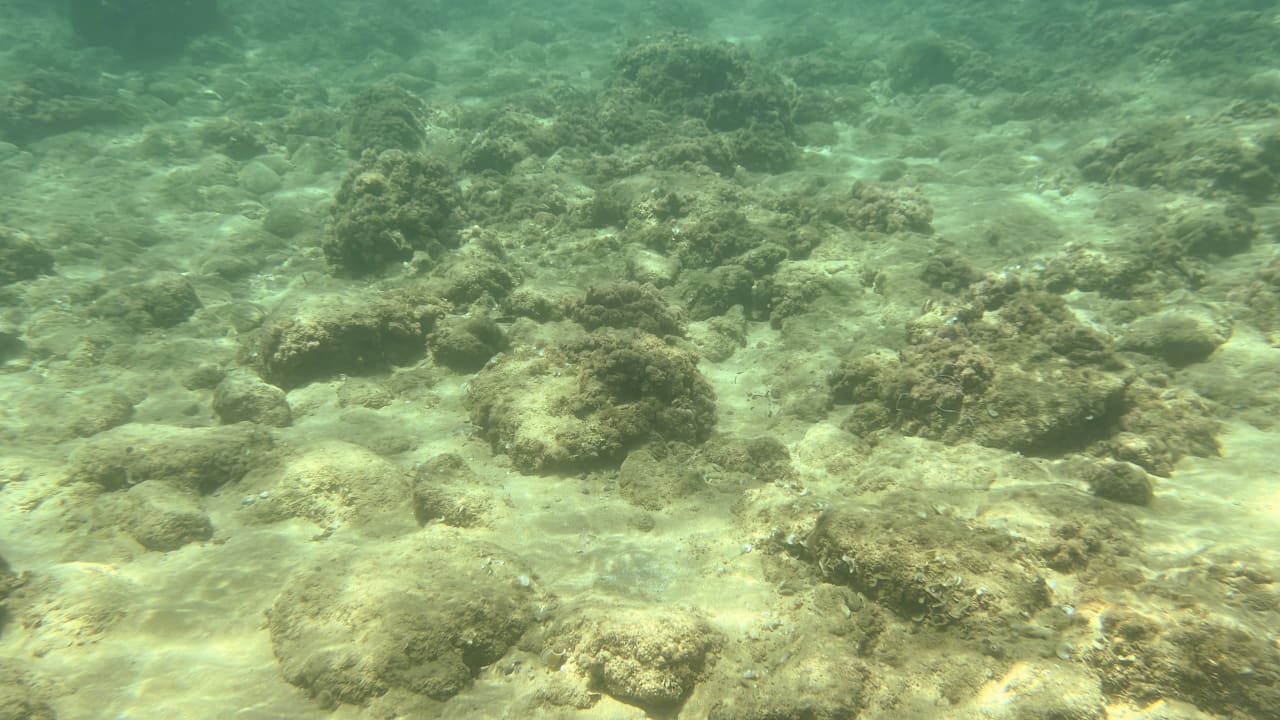 Strand Arina Beach Resort