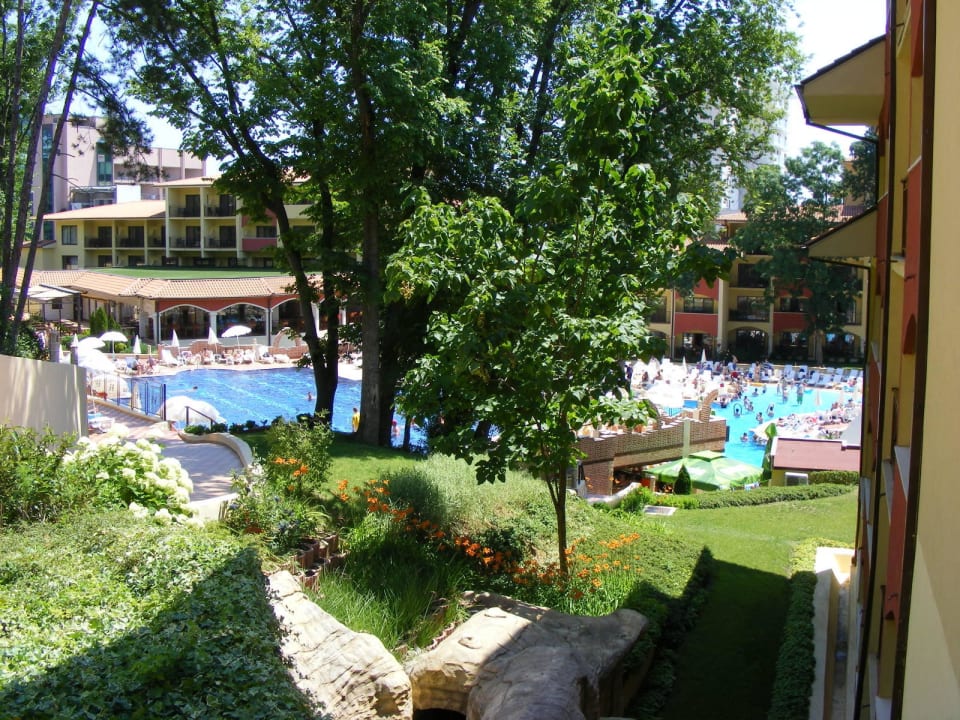 Pool vom Zimmer GRIFID Aqua Club Bolero