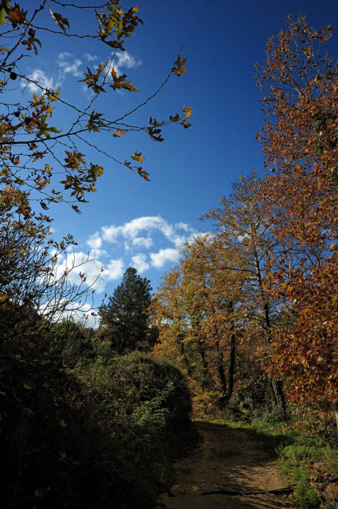 ESTATE KARES AREA Hotel Ktima Kares