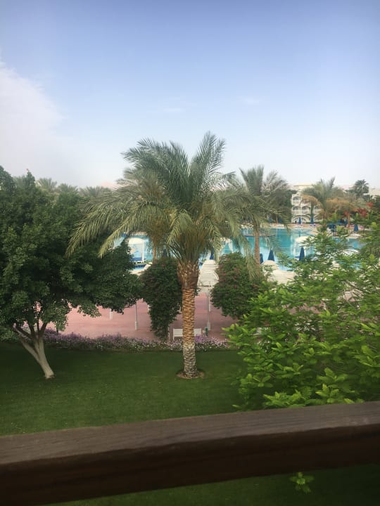 Ausblick Desert Rose