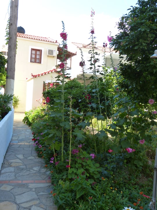 Gartenanlage Maria Studios & Appartements