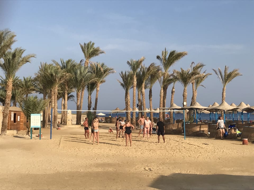 Sport & Freizeit Marina Resort Port Ghalib, a member of Radisson Individuals