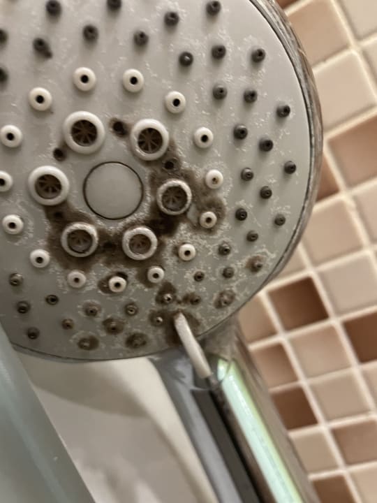 Zimmer Sunshine Rhodes