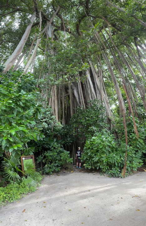 Gartenanlage Kuramathi Maldives