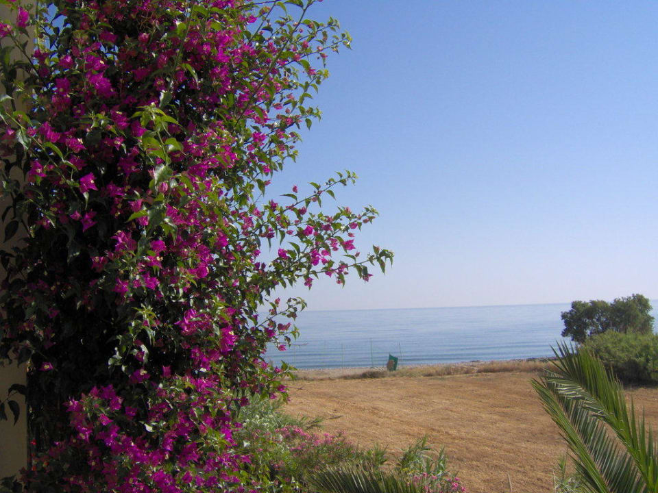 Blick vom Zimmer aufs Mittelmeer Hydramis Palace Beach Resort
