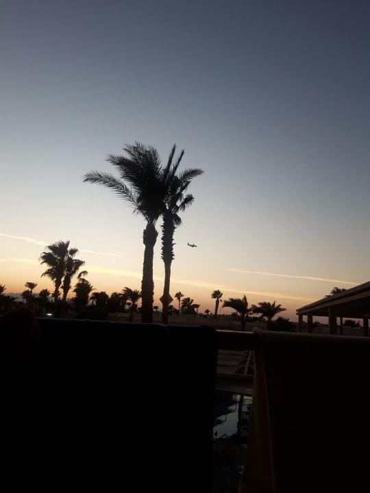 Außenansicht Beach Albatros Resort