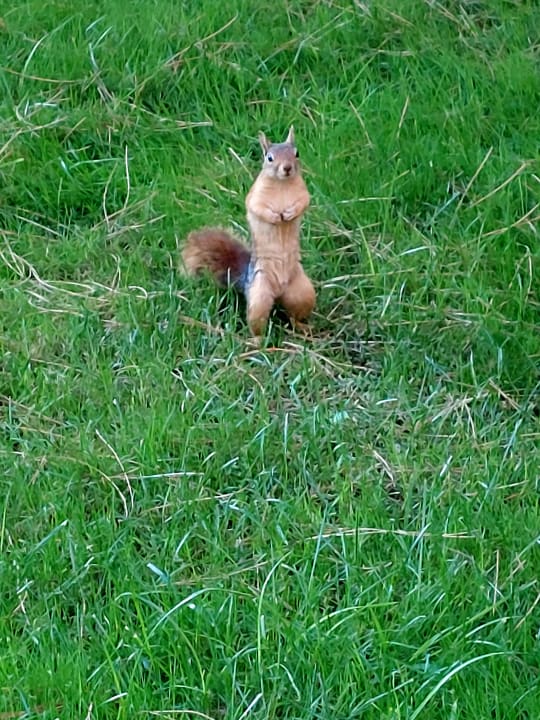 Gartenanlage Kustur Club Holiday Village