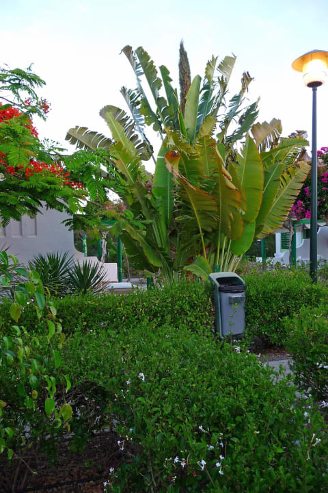 Papierkörbe alle paar Meter Bungalows Cordial Sandy Golf