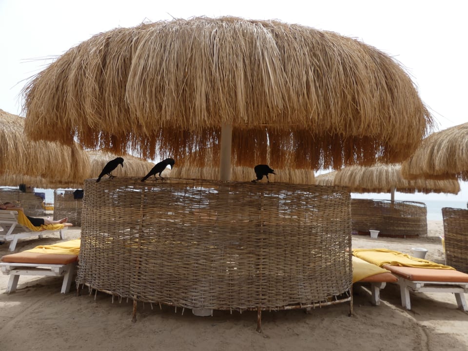 Strand Sentido Caribbean World Soma Bay