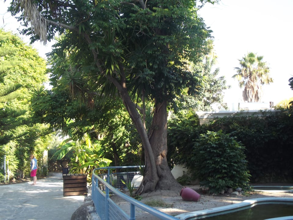 Gartenanlage Apollon Hotel