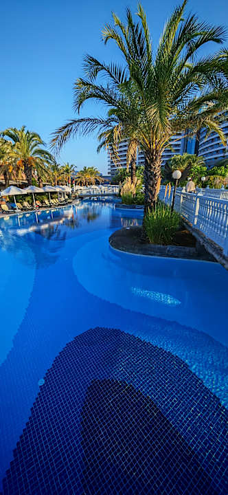 Pool Royal Wings Hotel