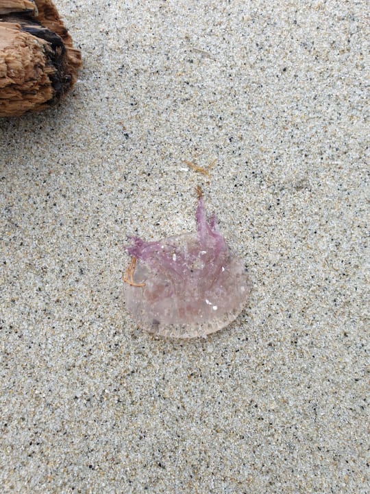 Strand Aldiana Club Rocca Nettuno Calabria