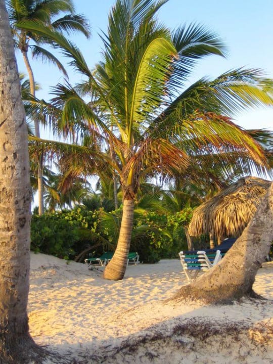 Sonnenaufgang am Strand Grand Palladium Punta Cana Resort & Spa