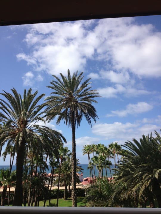 Ausblick Hotel Riu Palace Oasis