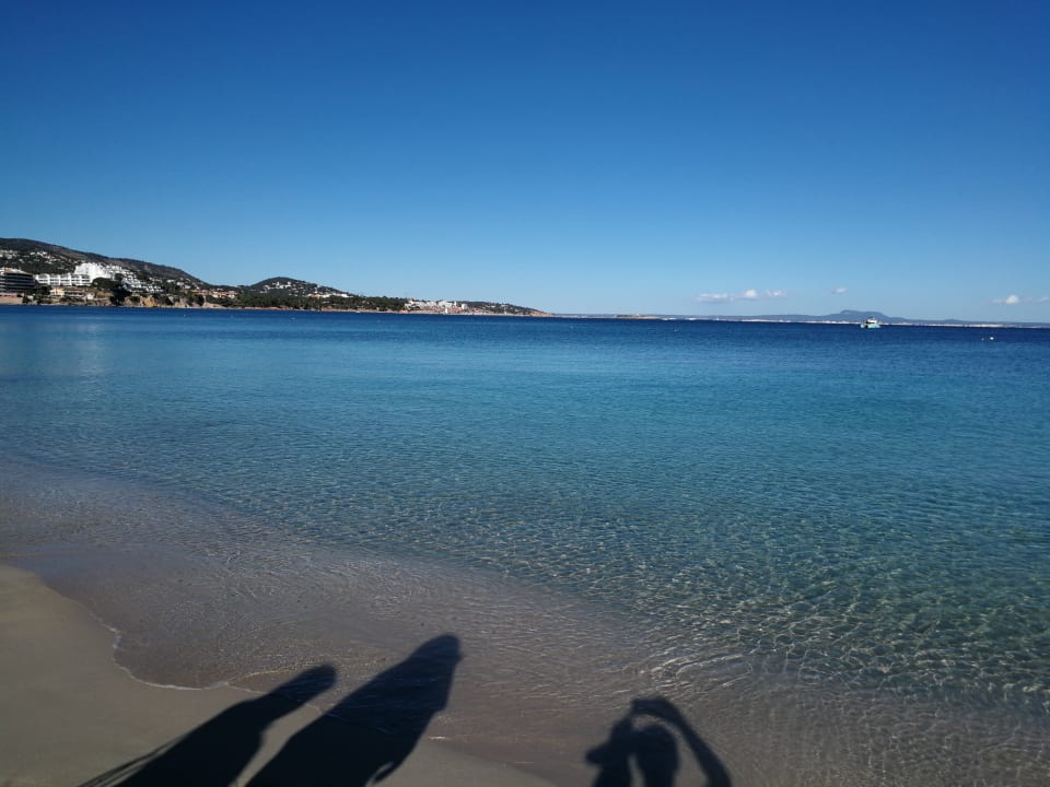 Strand Zafiro Palace Palmanova