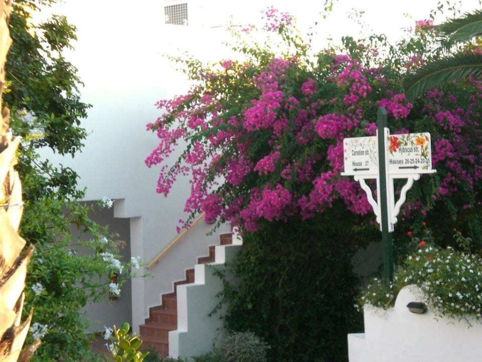 Wegweiser Mastichari Bay Hotel