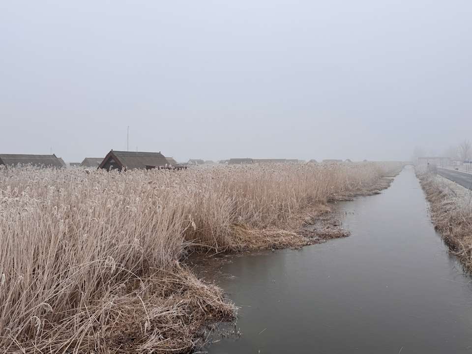 Ausblick Seehotel Rust