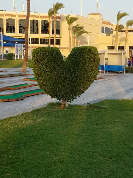 Gartenanlage Beach Albatros Resort