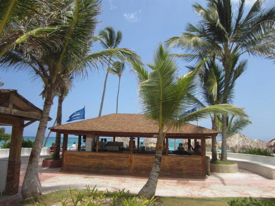 Strandbar VIK Hotel Arena Blanca