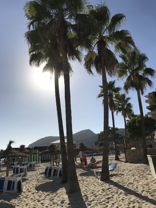 Strand Steigenberger Hotel & Resort Camp de Mar