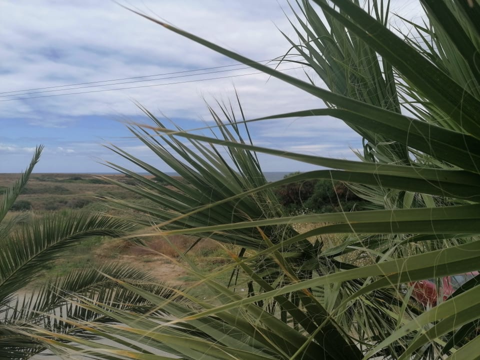 Ausblick Hotel Kouros Palace
